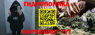 индика Ликино-Дулёво
