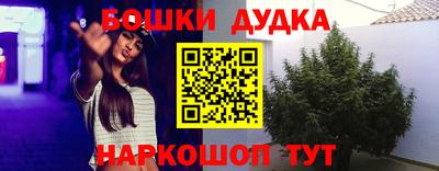 индика Ликино-Дулёво