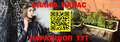 молекула духа Лесосибирск