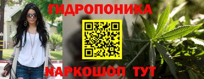 индика Ликино-Дулёво