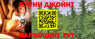 индика Ликино-Дулёво